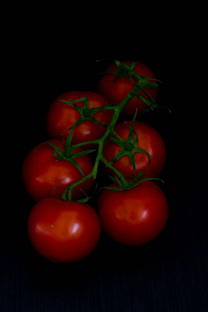 istock Tomatoes on the twig. Isolated. Black background. 687735928