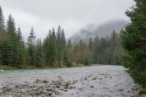 istock Mountain river in high Tatras, Poland 687738704