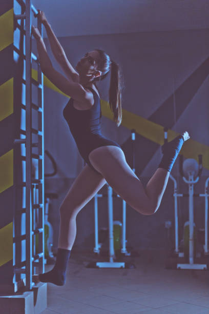 istock Sensual ballerina exercising at the gym 687738812