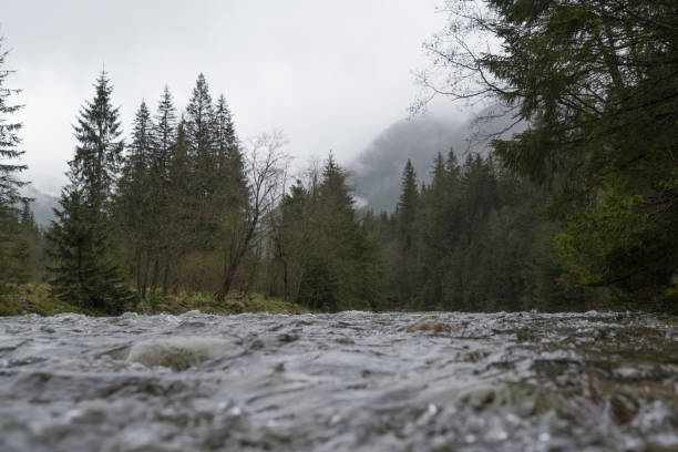 istock Mountain river in high Tatras, Poland 687739148