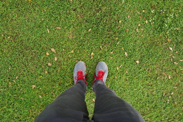 istock Shoes in the grass 687742074