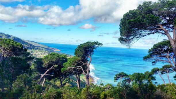 istock the nature and the ocean 687749668