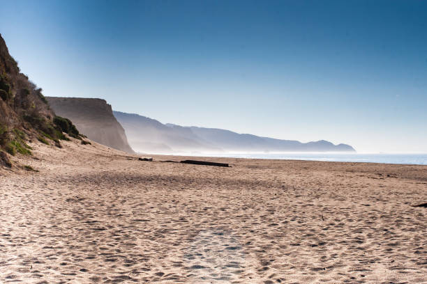 ポイントレイズ、カリフォルニア州 - point reyes national seashore northern california beach california ストックフォトと画像
