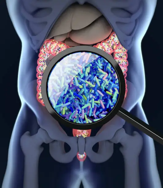 Photo of Gut bacteria, microbiome. Bacteria magnified through magnifying glass, concept, representation. 3D illustration.