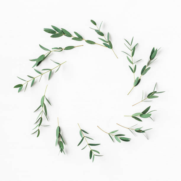 istock Wreath made of eucalyptus branches. Flat lay, top view 687776654