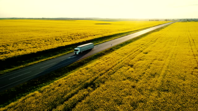 Aerial view of truck on  highway  near the yellow field of rapeseed