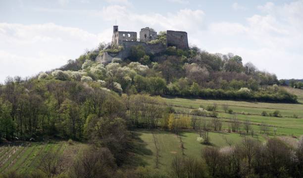 istock Ruins of Falkenstein castle in Austria 687780012