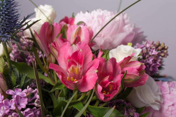 istock Pink colored big flower bouquet isolated 687783504