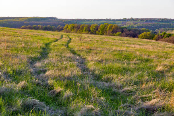 istock Landscape with traces of wheels in the grass 687783788