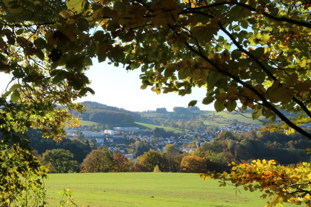 istock Wald-Michelbach in the Odenwald 687784408