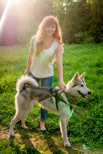 istock A young couple walking a dog in the park 687787946