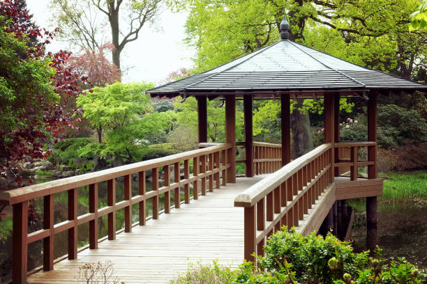 istock Japanese garden in Wroclaw 687794960