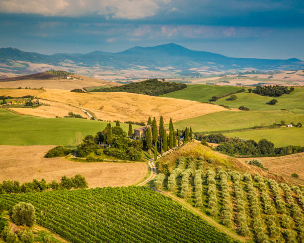 istock Scenic Tuscany landscape at sunset, Val d'Orcia, Italy 687797622