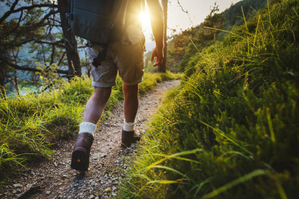 Senior man trail hiking on high mountain, in a green forest
