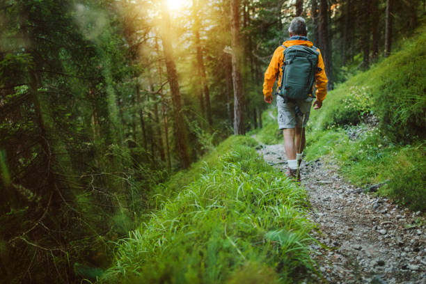 istock Senior man trail hiking in a mountain forest 687797930