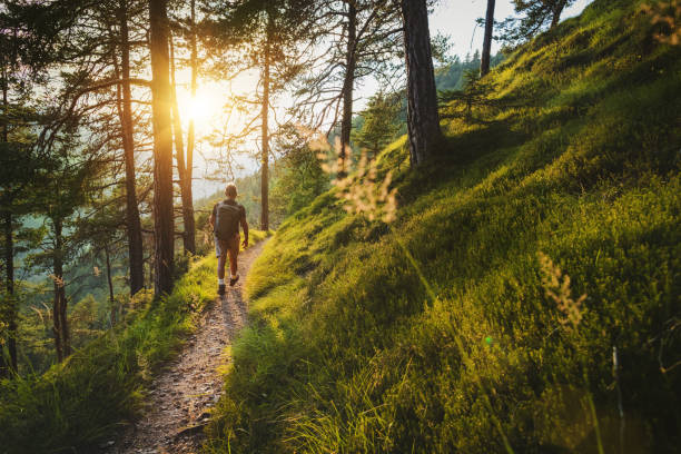 pista senior hombre caminar en un bosque de montaña - footpath hiking walking exercising fotografías e imágenes de stock