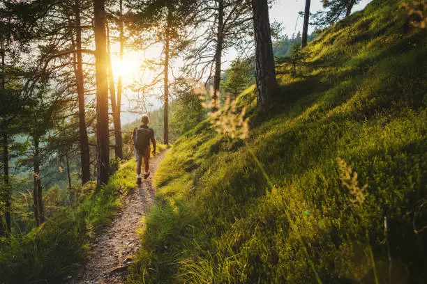 Photo of Senior man trail hiking in a mountain forest