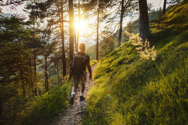 istock Senior man trail hiking in a mountain forest 687797988
