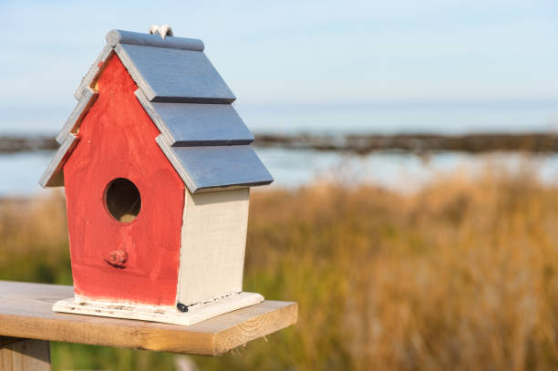 cerca de casa de madera pequeña y colorida. ilustración para inmobiliaria o construcción. - birdhouse house bird house rental fotografías e imágenes de stock