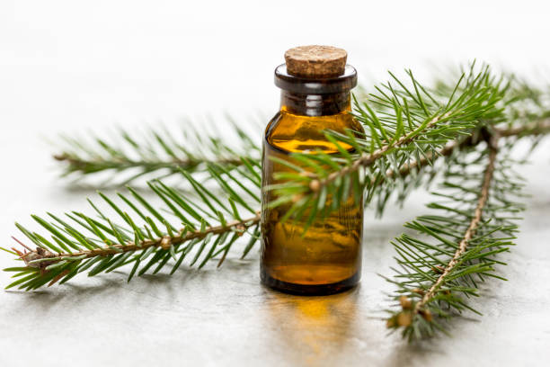 istock cosmetic spruce oil in bottles with fur branches on white table background 687807866