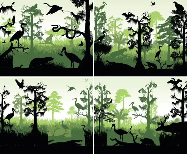 Vector illustration of set of vector rainforest wetland silhouettes in sunset design template with animals