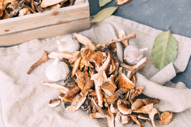 dried mushrooms of various shapes. - shiitake mushroom edible mushroom mushroom dry imagens e fotografias de stock