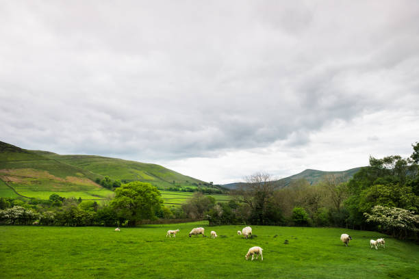 istock View on the Hills near Edale, Peak District National Park, UK 687808130