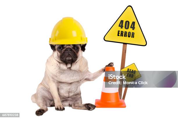 Pug Dog With Yellow Constructor Safety Helmet And Cone And 404 Error And Dead End Sign On Wooden Pole Stock Photo - Download Image Now