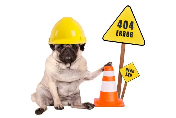 pug dog with yellow constructor safety helmet and cone and 404 error and dead end sign on wooden pole, isolated on white background