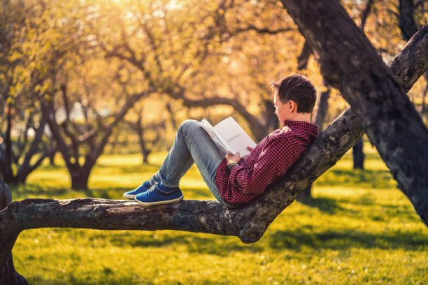 istock Cute boy reading a book sitting in the park at sunset 687810470