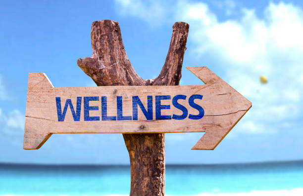 istock Wellness wooden sign 687810638