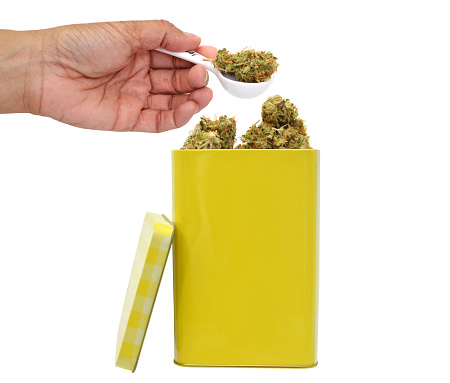 Hand holding marijuana bud dropping into container isolated on white background