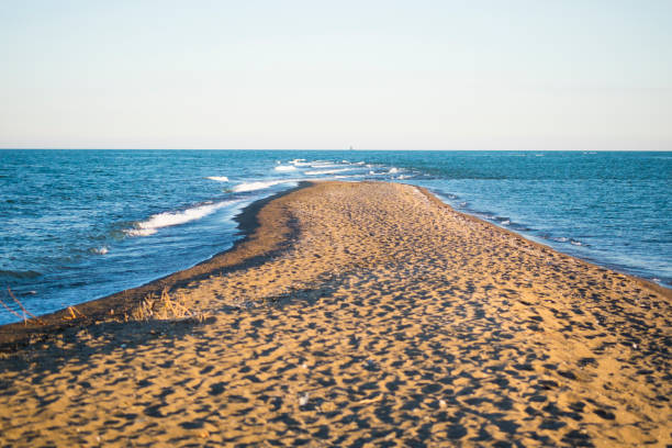 istock The Point At Point Pelee National Park 687824838