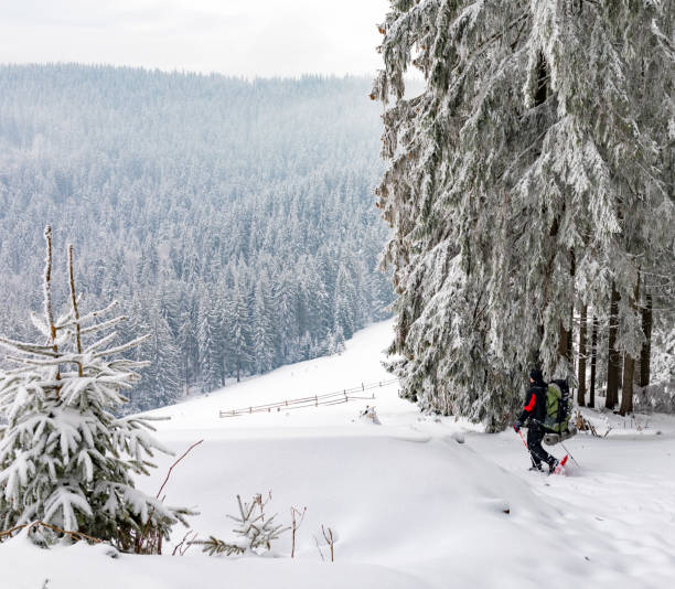 istock Man hiking in Carpathian mountains. 687830446