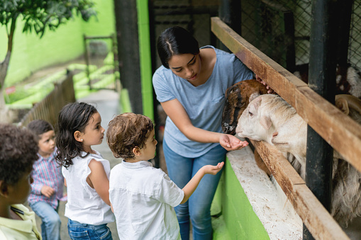Latin American teacher with a group of young students at an animal farm feeding the goats - lifestyle concepts