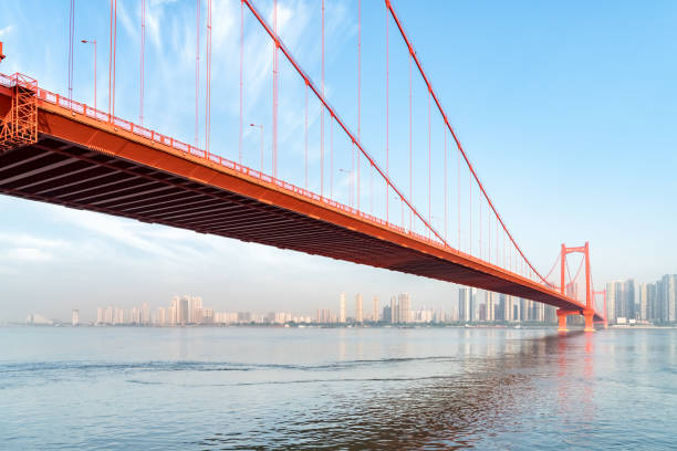 istock wuhan parrot shoal yangtze river bridge 687846444