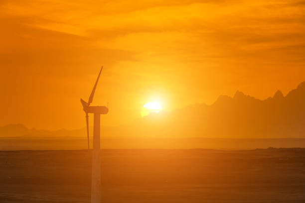 Renewable Energy - Wind Power Plants on Agriculture Field