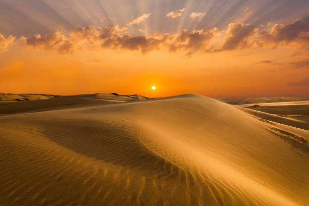 istock Golden sands and dunes of the desert. Mongolia 687860652