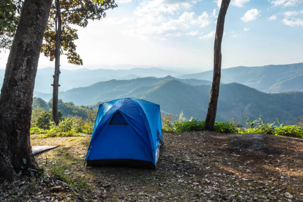 istock Tents for tourists 687861164