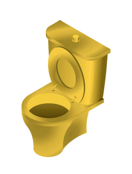 istock Golden toilet isolated. WC for rich on white background 687867642