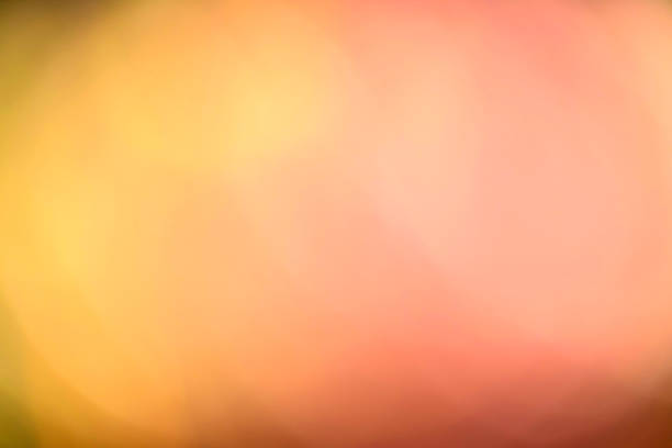istock Abstract blur of colorful flowers 687867690
