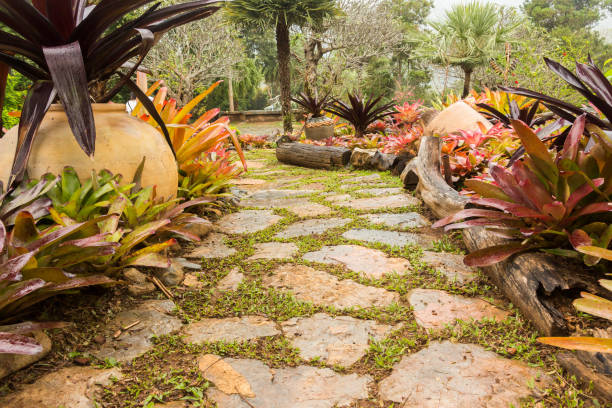 istock Landscaping in the garden. 687868692
