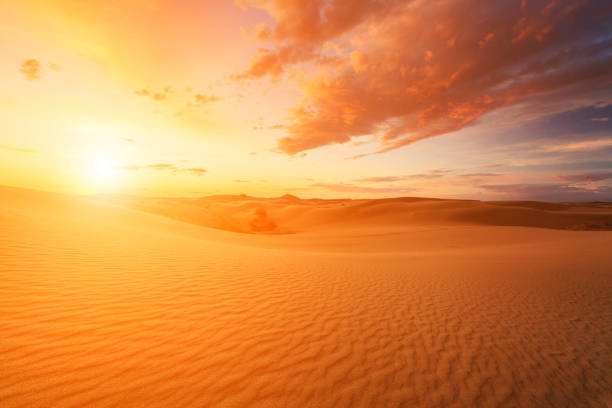 beautiful views of the gobi desert. mongolia - gobi desert imagens e fotografias de stock