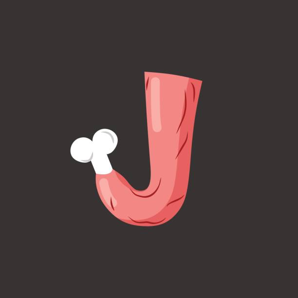 istock Letter J meat font. Pork and bone alphabet sign. Ham lettering. Beef ABC symbol 687871456