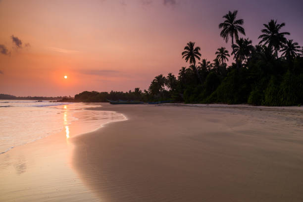 istock Tropical sandy beach with palm trees at sunset 687871534