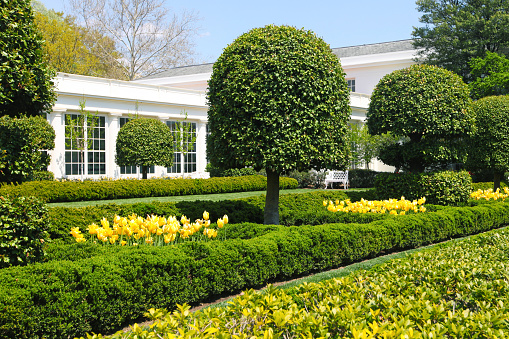 White House grounds and gardens