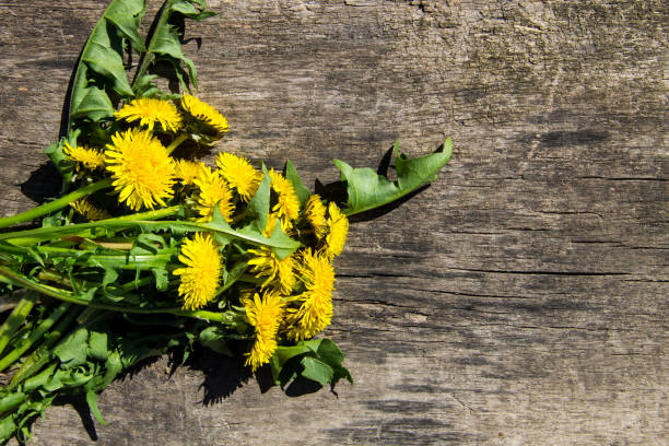 istock Yellow dandelion flowers on rustic wooden background. Top view 687884284