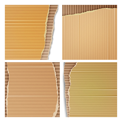 Corrugated Cardboard Vector Background. Realistic Ripped Carton Wallpaper With Torn Edges.