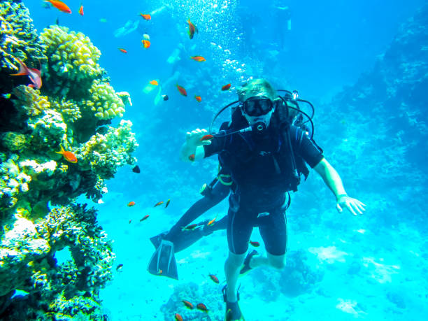 istock Practice diving. Diving instructor and his student near coral reefs 687886362