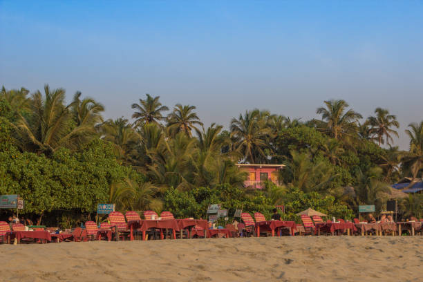 istock Sun loungers at Arambol beach, North Goa, India 687889006